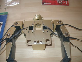 robo125.jpg