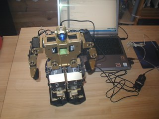 robo341.jpg