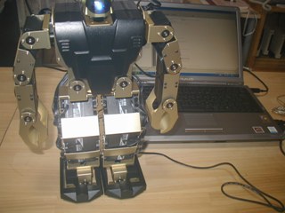 robo391.jpg