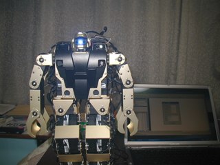 robo475.jpg